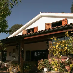 Chalet Casa Magnolia, Dosrius